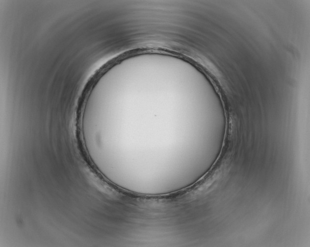 X0000112391020200909032009