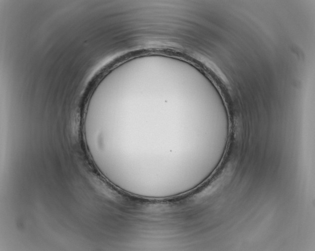 X0000112391021200909032009