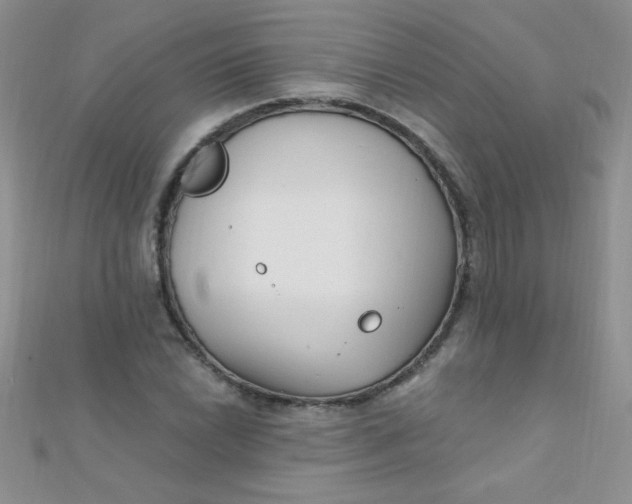 X0000112391022200909032009