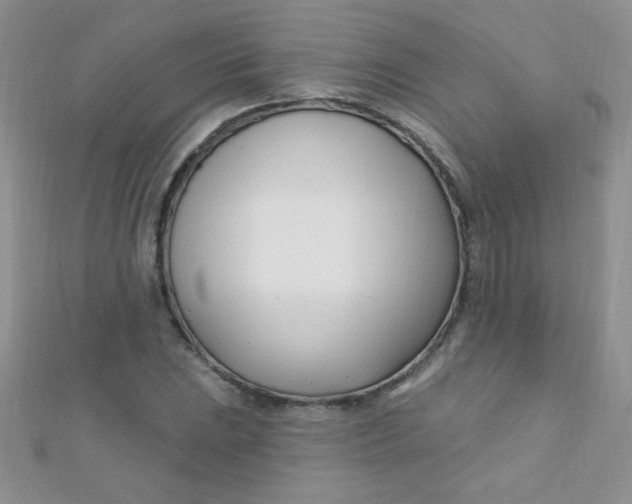 X0000112391023200909032009