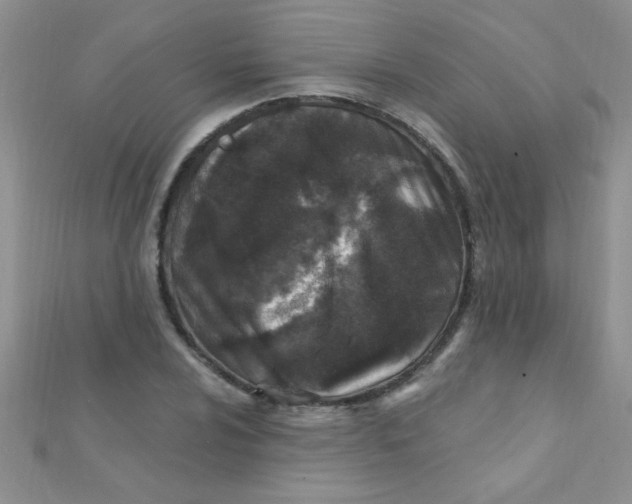 X0000112391024200909032009