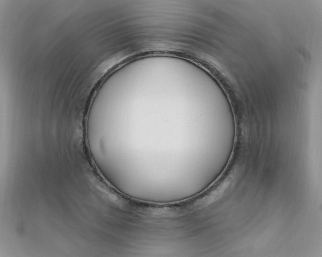 X0000112391025200909032009