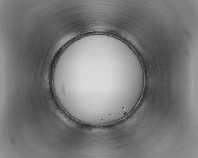 X0000112391026200909032009