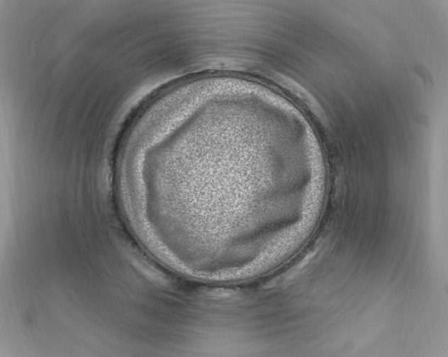 X0000112391027200909032009