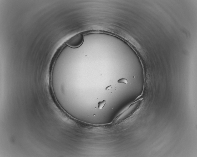 X0000112391028200909032009