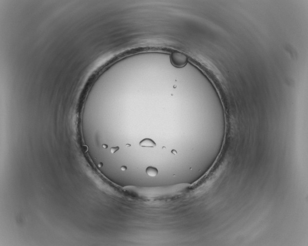 X0000112391029200909032009