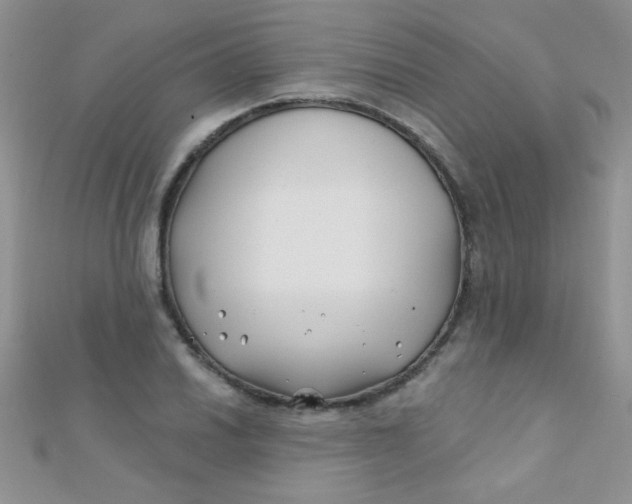 X0000112391030200909032009