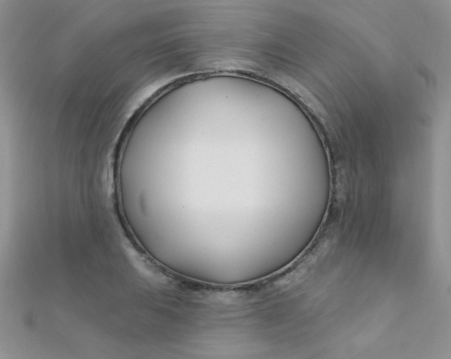 X0000112391031200909032009