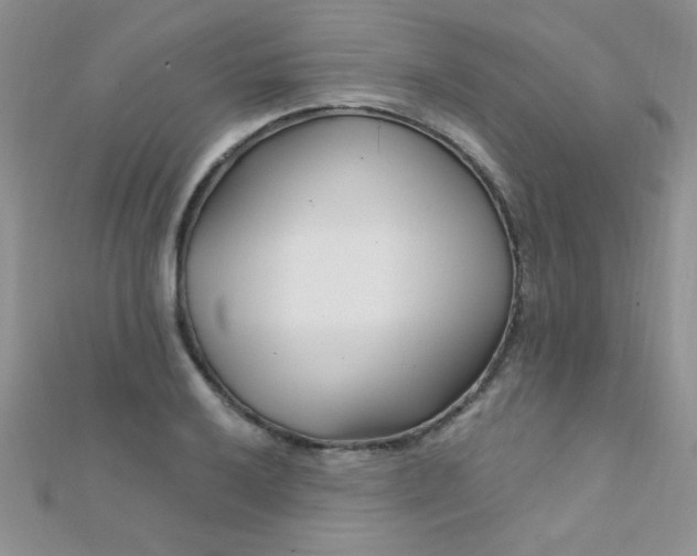 X0000112391032200909032009