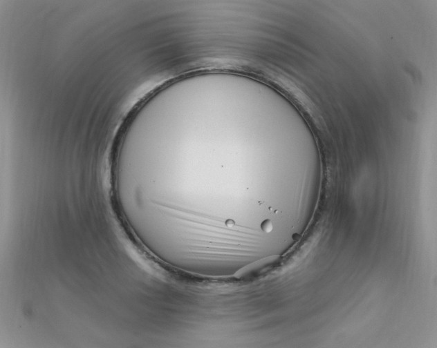 X0000112391034200909032009