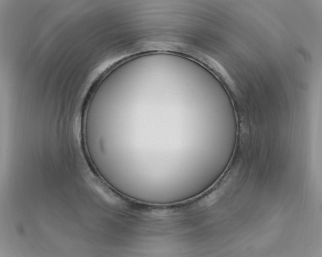 X0000112391035200909032009