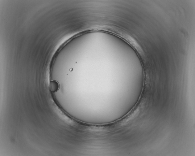 X0000112391036200909032009