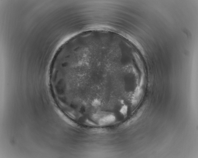 X0000112391037200909032009