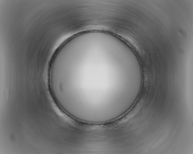 X0000112391038200909032009