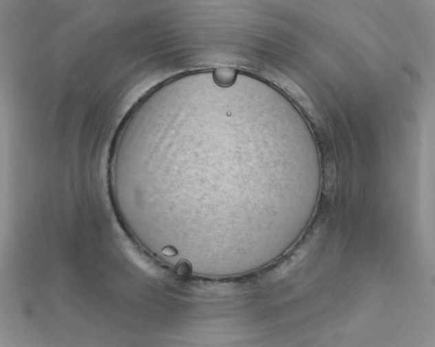 X0000112391039200909032009