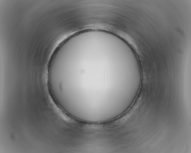 X0000112391040200909032009