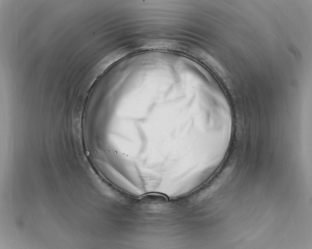 X0000112391041200909032009