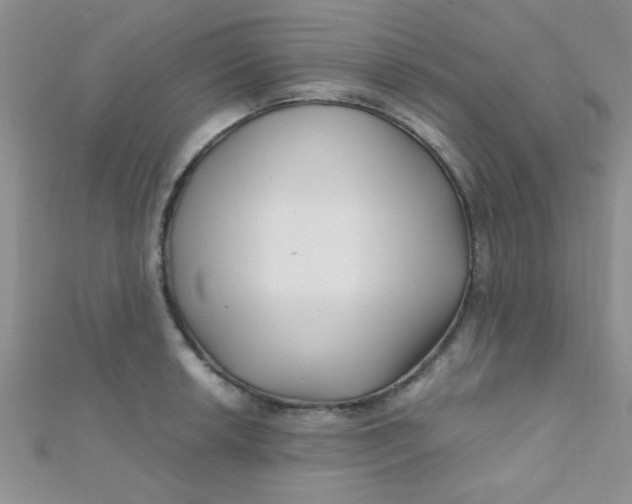 X0000112391042200909032009