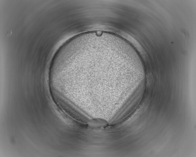 X0000112391043200909032010