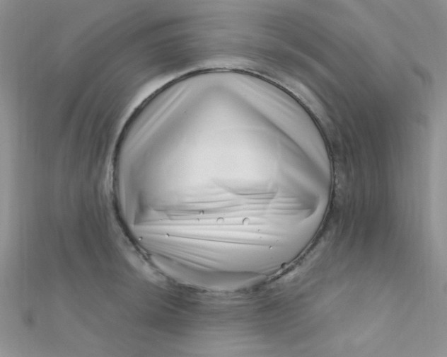 X0000112391044200909032010