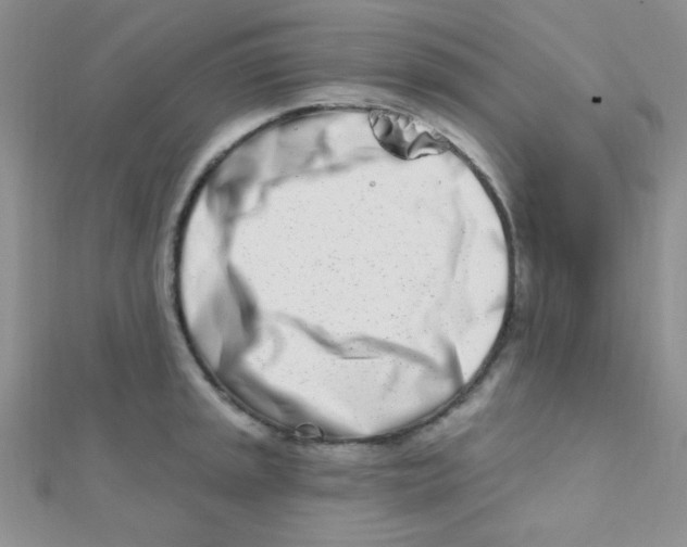 X0000112391045200909032010