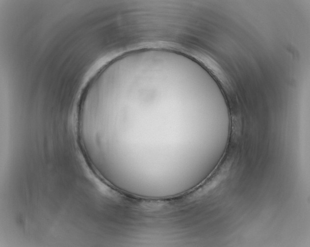 X0000112391046200909032010