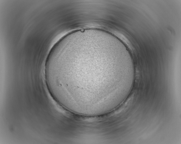 X0000112391047200909032010