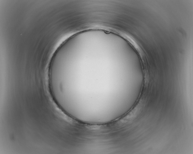 X0000112391048200909032010