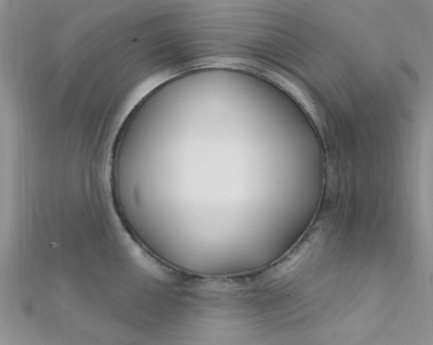 X0000112391050200909032010