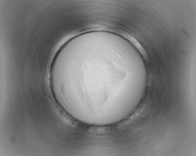 X0000112391051200909032010