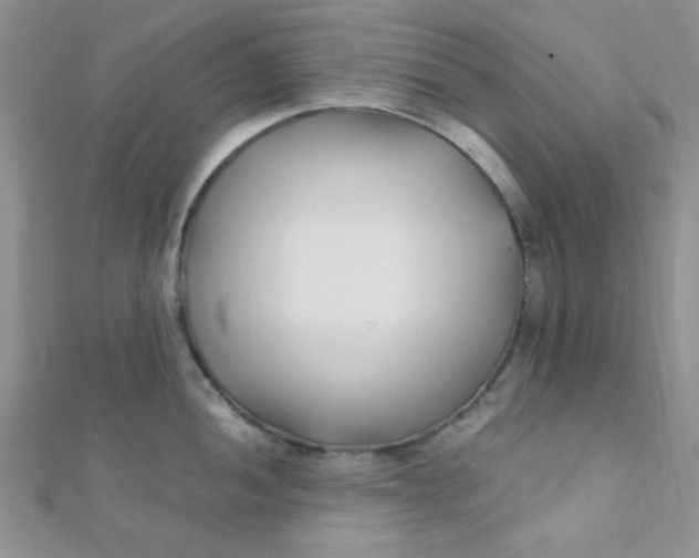 X0000112391052200909032010