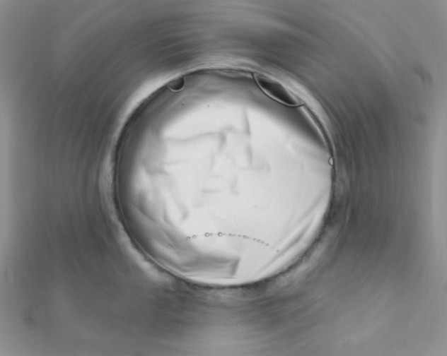 X0000112391053200909032010