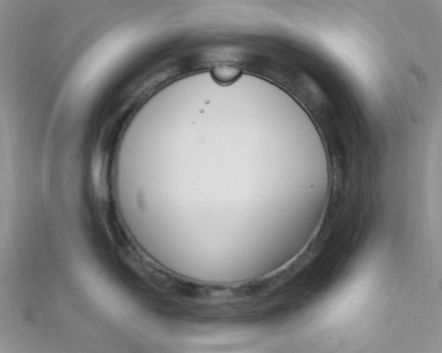 X0000112391054200909032010