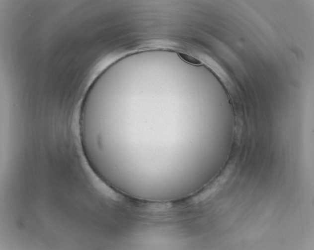 X0000112391055200909032010