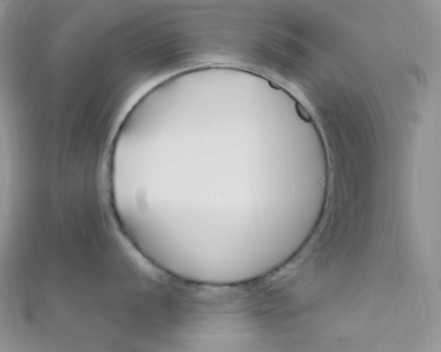 X0000112391056200909032010