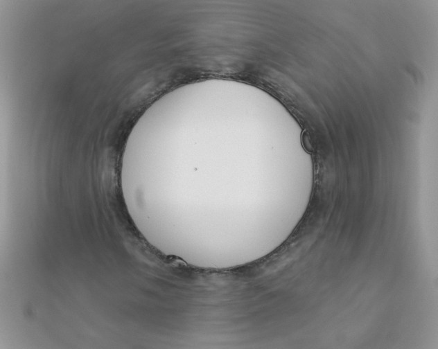 X0000112391058200909032009