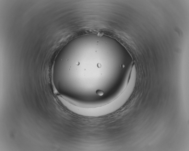 X0000112391060200909032009