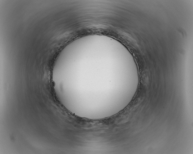 X0000112391061200909032009