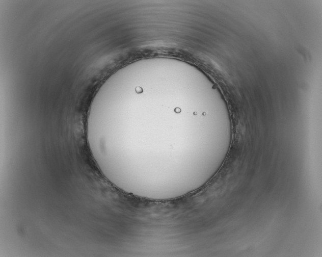 X0000112391062200909032009