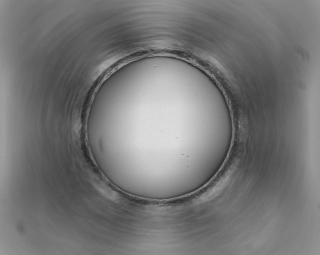 X0000112391065200909032009