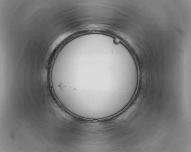 X0000112391066200909032009