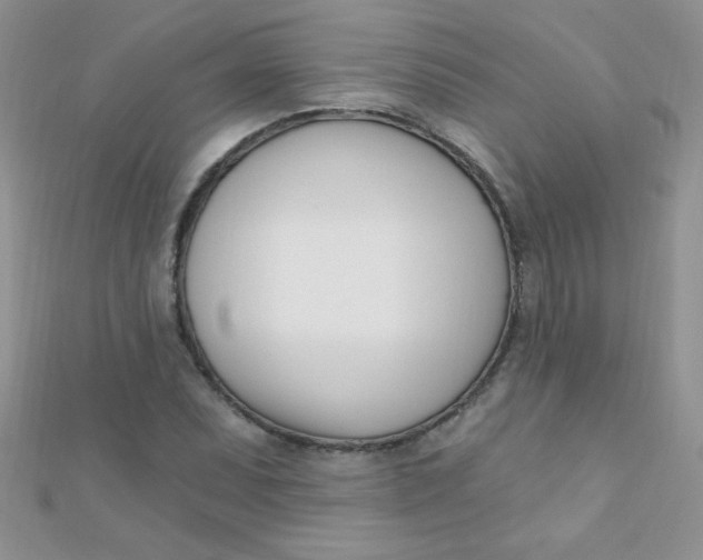 X0000112391071200909032009