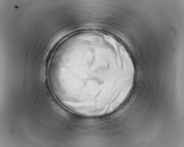 X0000112391075200909032009