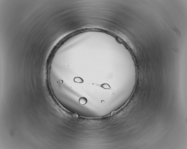 X0000112391076200909032009