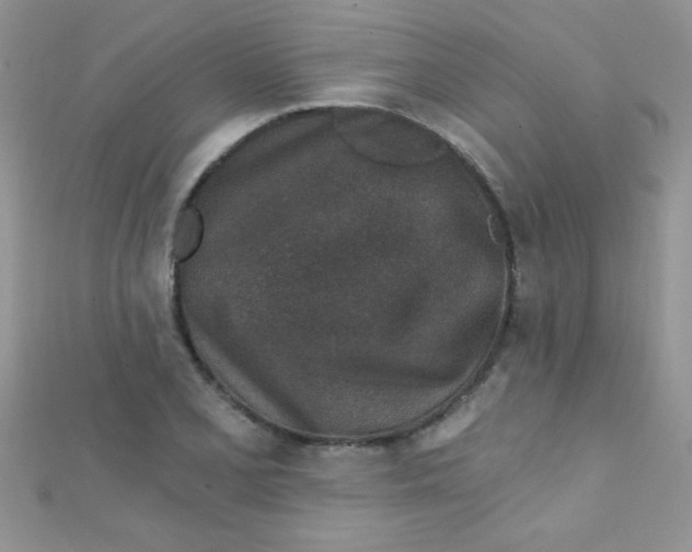 X0000112391077200909032009