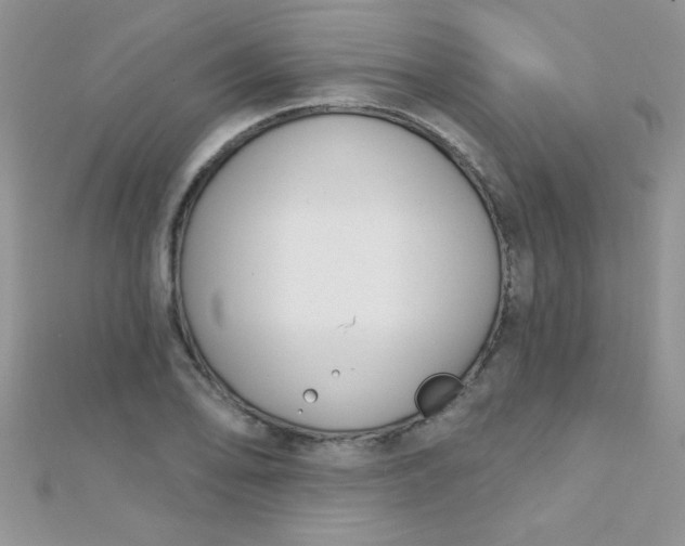 X0000112391078200909032009