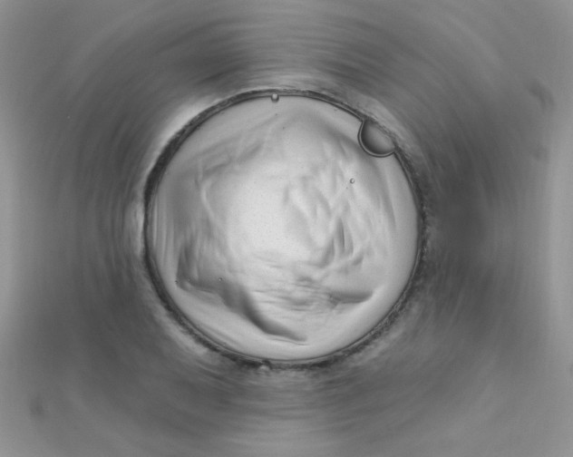 X0000112391079200909032009