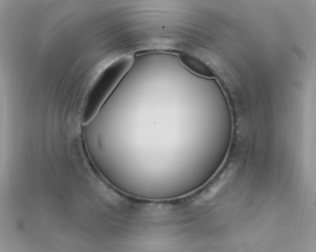 X0000112391081200909032009