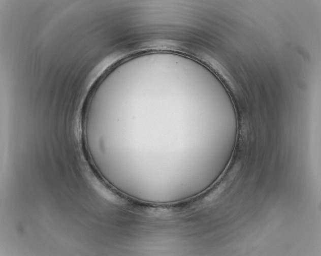 X0000112391082200909032009