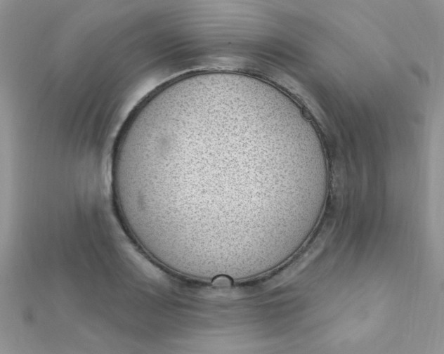 X0000112391083200909032009